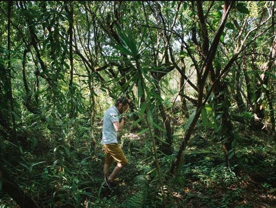Homme en short et t-shirt blanc marchant au milieu d’une végétation dense et luxuriante dans une forêt tropicale. L’ambiance est immersive et naturelle, évoquant une exploration ou une récolte en pleine nature, possiblement liée à la culture de la vanille.