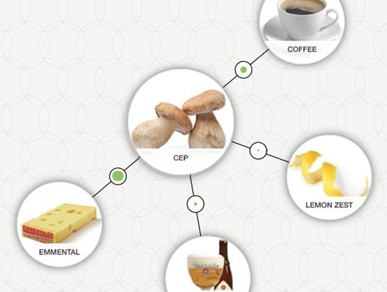 Schéma de compatibilités aromatiques centré sur le cèpe (champignon), relié à plusieurs aliments complémentaires : café, zestes de citron, emmental et une liqueur. Chaque ingrédient est illustré par une image et connecté par des lignes sur fond graphique clair.