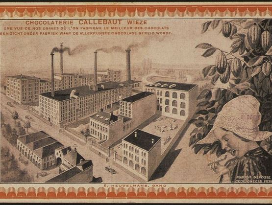 Illustration ancienne de la chocolaterie Callebaut à Wieze, montrant un complexe industriel avec plusieurs bâtiments et cheminées fumantes. En bas à droite, une femme en coiffe traditionnelle semble cueillir des fèves de cacao. Le style évoque une publicité d’époque valorisant la fabrication artisanale de chocolat.
