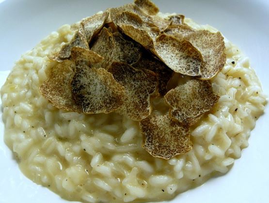 Assiette de risotto crémeux surmonté de généreuses lamelles de truffe blanche. Le plat met en valeur une préparation gastronomique raffinée, typique de la cuisine italienne haut de gamme.