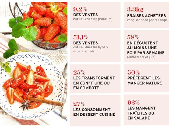 Infographie sur la consommation de fraises en France. Elle indique que 3,3 kg sont achetés par ménage chaque année, que 58 % en mangent au moins une fois par semaine, et que 93 % les consomment fraîches ou en salade. Elle présente aussi les circuits de vente et les usages culinaires des fraises.