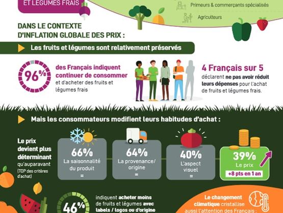 Infographie sur la consommation de fruits et légumes frais en France dans un contexte d'inflation. Elle indique que 96 % des Français continuent à en consommer, tout en adaptant leurs critères d’achat, comme la saisonnalité, la provenance, l’aspect visuel et surtout le prix, devenu un facteur clé pour 39 % des consommateurs.