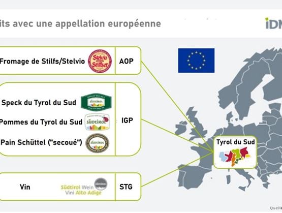 Carte d’Europe avec zoom sur le Tyrol du Sud, mettant en avant cinq produits bénéficiant d’une appellation européenne : fromage de Stilfs/Stelvio (AOP), speck, pommes, pain Schüttel (“secoué”) (IGP), et vin (STG). Les logos officiels des labels AOP, IGP et STG sont visibles à côté des produits.