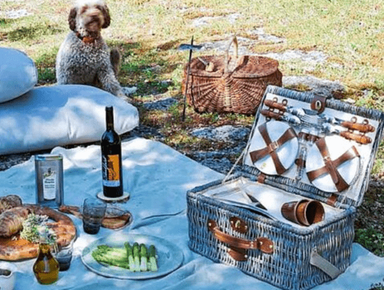 A country-style picnic is laid out on a light-colored blanket, with a carefully prepared wicker basket containing neatly arranged tableware and cutlery.
