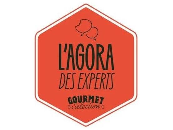 logo Agora des experts