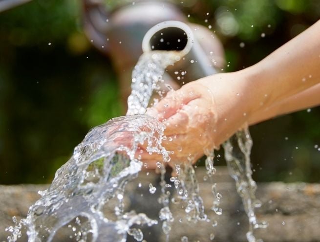 Mains rincées sous un jet d’eau provenant d’un arrosoir, dans un environnement extérieur végétalisé.