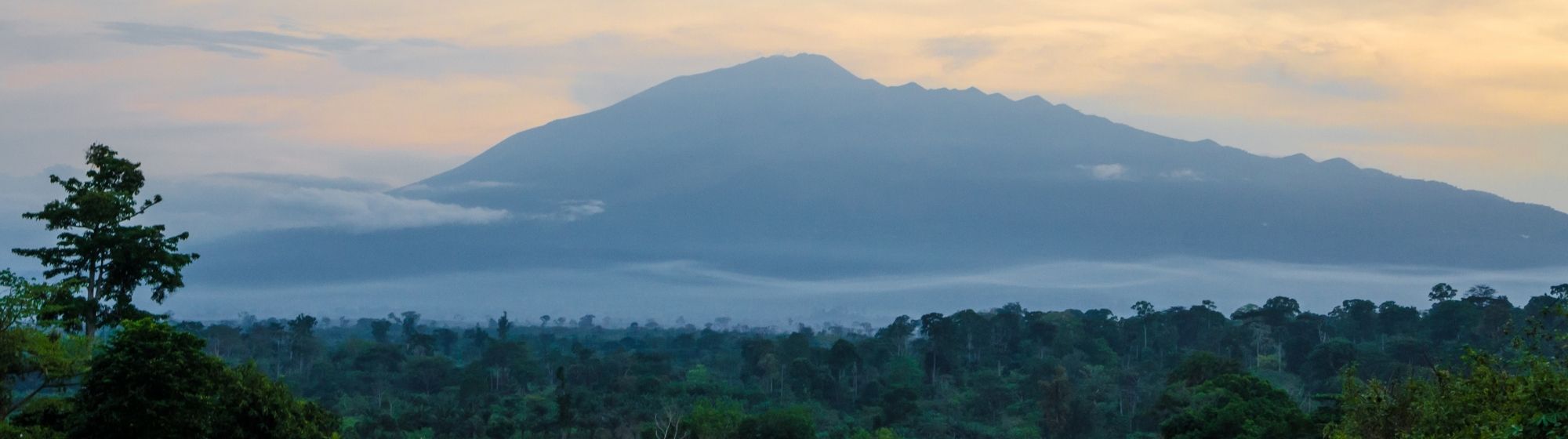 Misty mountain with lush green forest at sunrise.