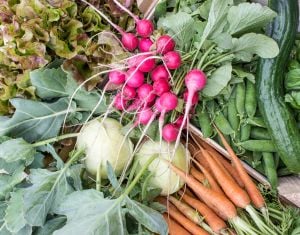 Fresh spring vegetables radish carrots