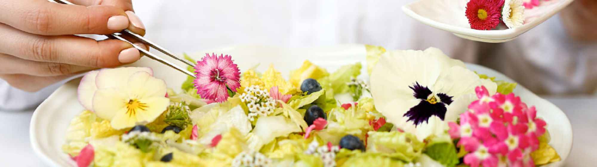 Innoflower