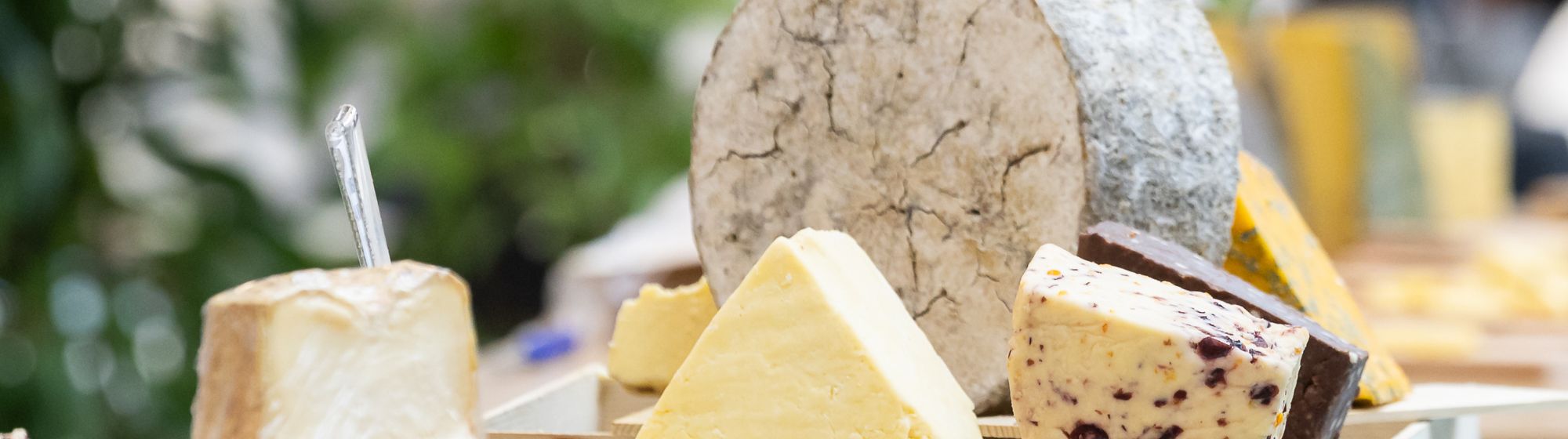 Platter of artisanal cheeses with assorted aged cheese varieties displayed outdoors.