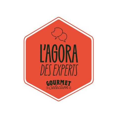 Logo Agora des Experts